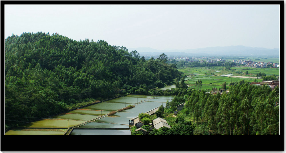 DSC00551_副本.JPG