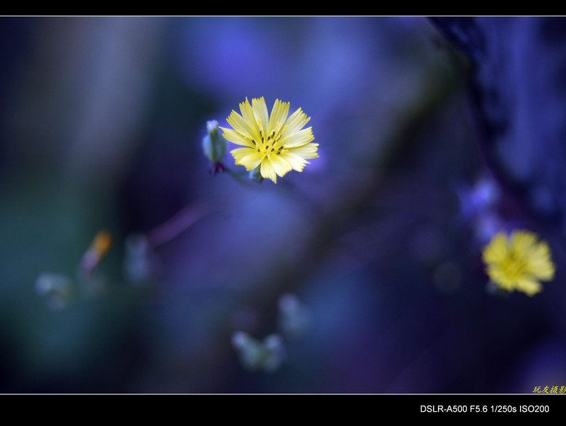 a7899236_s.jpg