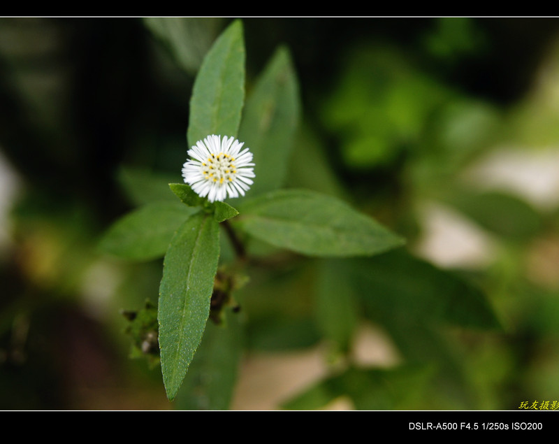 a7899209_s.jpg