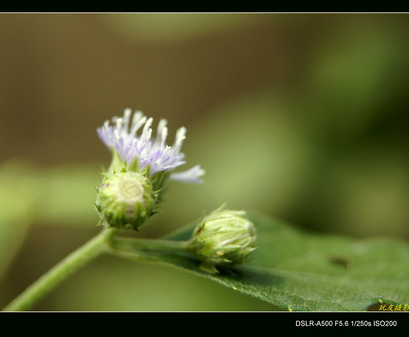 a7899230_s.jpg