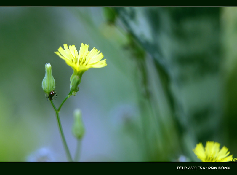 a7899234_s.jpg
