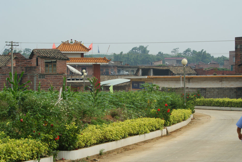 DSC01609.JPG