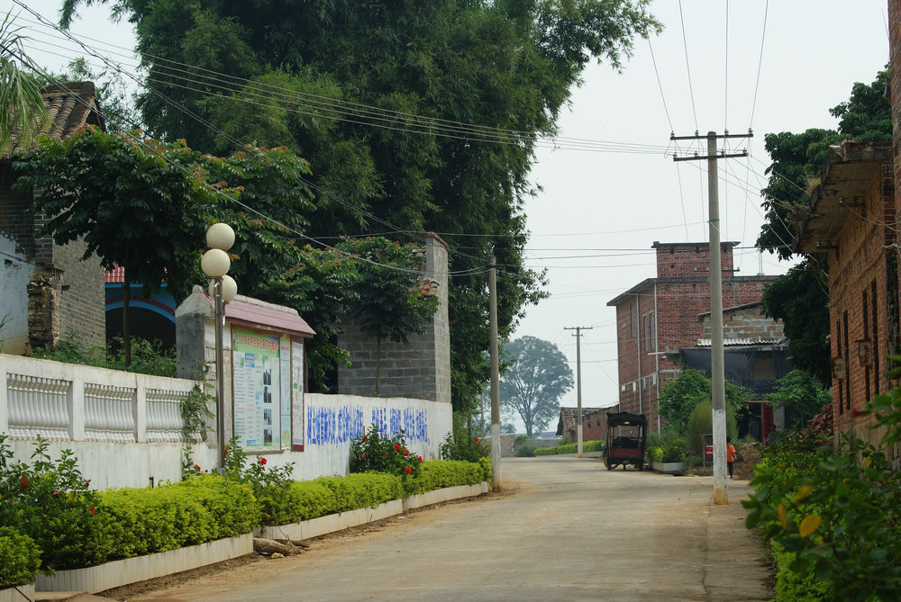 DSC01599.JPG