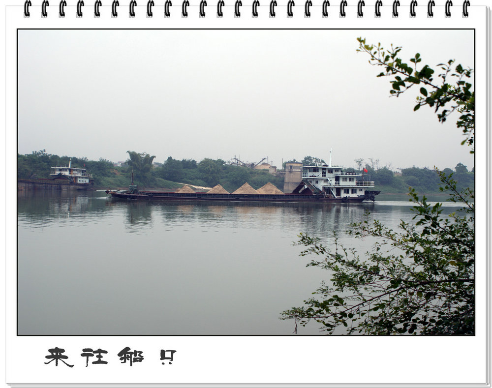 DSC02028.JPG