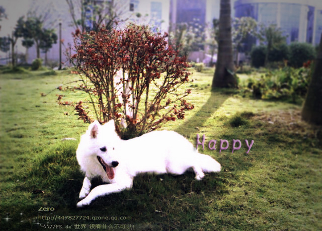 happy01.jpg