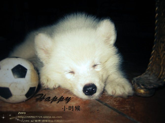 happy04.jpg