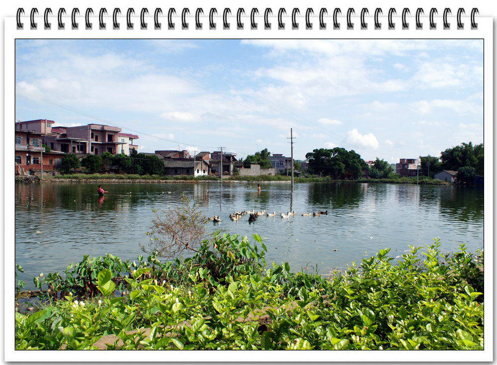 DSC02155.JPG