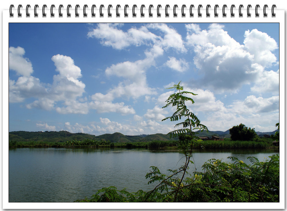 DSC02212.JPG