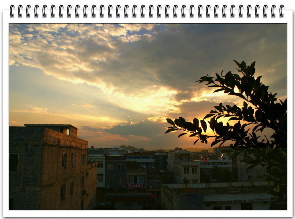 DSC02310.JPG