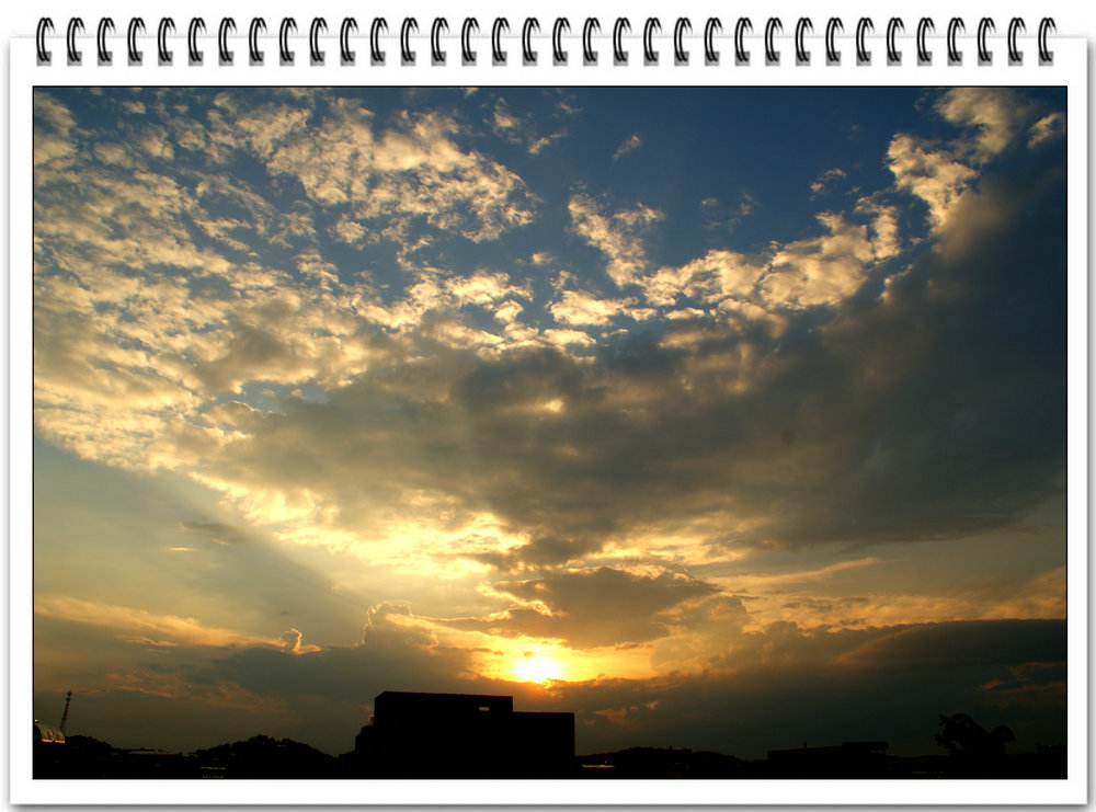 DSC02317.JPG