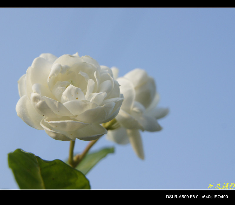 a7949029_s.jpg