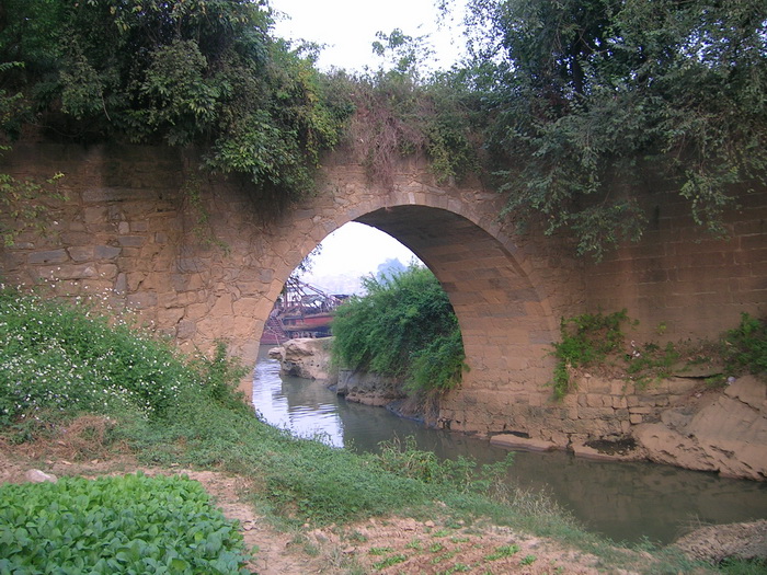 DSCN1401.jpg