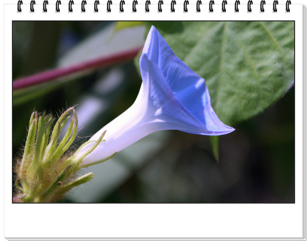 DSC08188.JPG