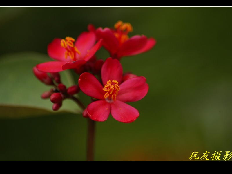 a7963664_s.jpg