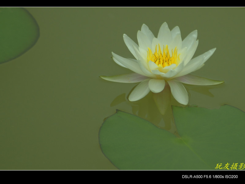 a7964192_s.jpg