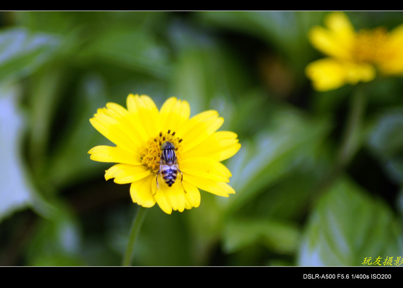 a7964567_s.jpg