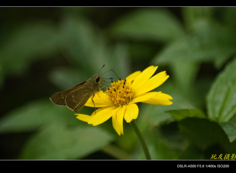 a7964608_s.jpg