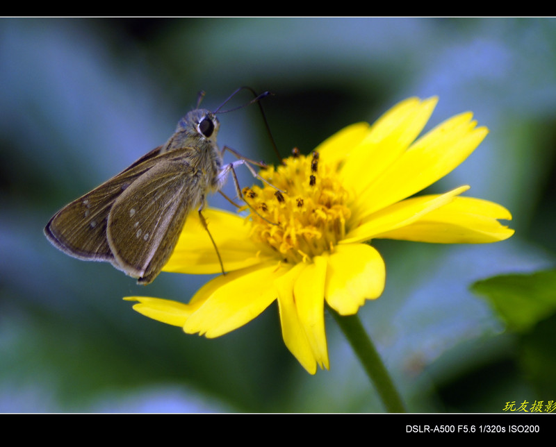 a7964625_s.jpg