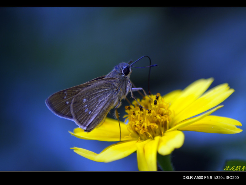 a7964713_s.jpg