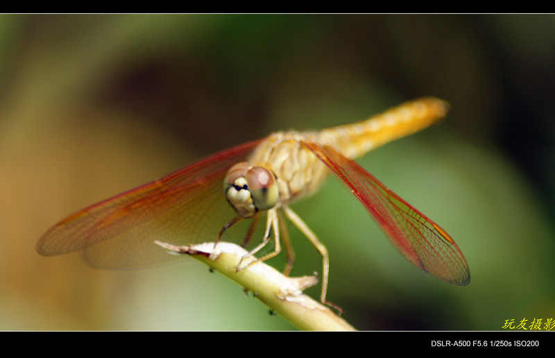 a7964741_s.jpg