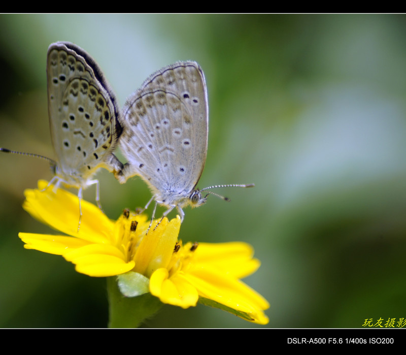 a7964783_s.jpg