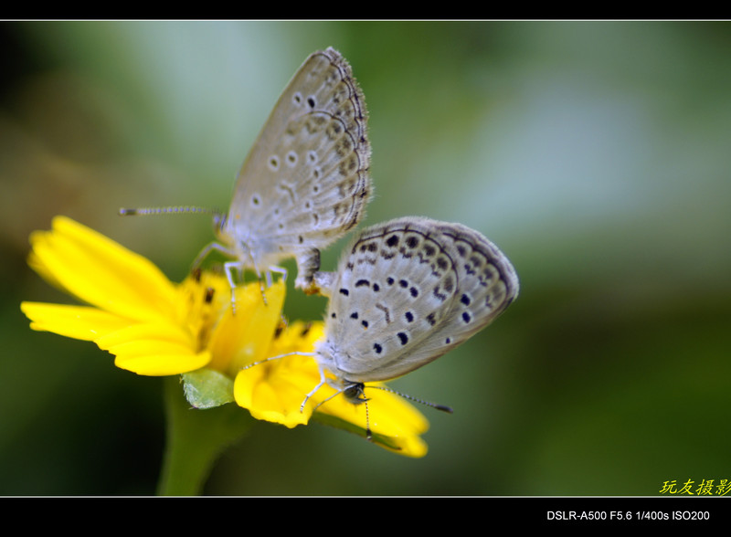 a7964796_s.jpg