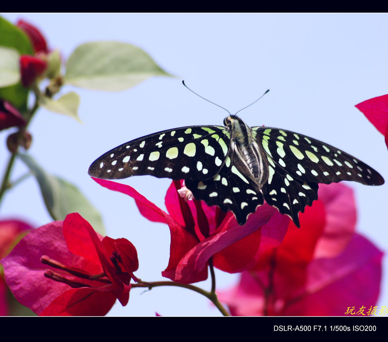 a7964550_s.jpg