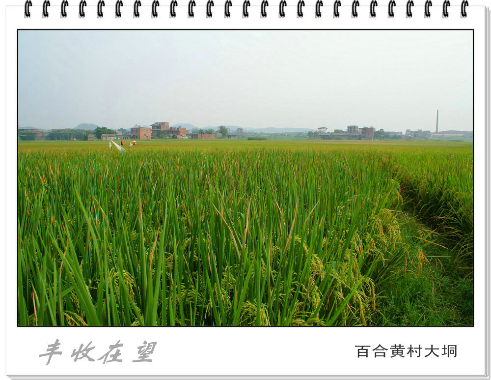 DSC03255.JPG