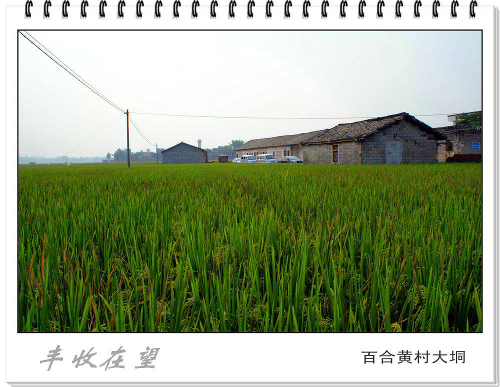 DSC03256.JPG
