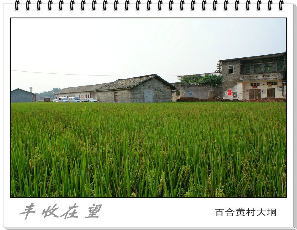 DSC03257.JPG