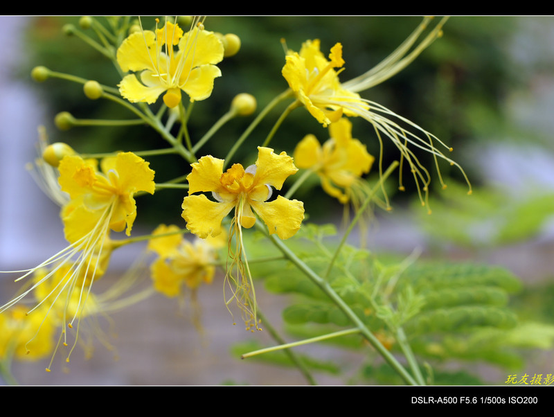 a7997227_s.jpg