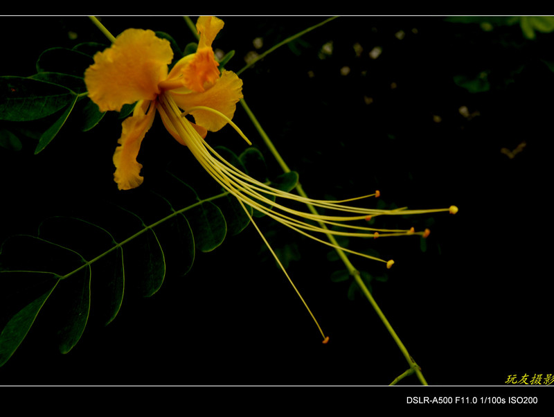 a7997231_s.jpg