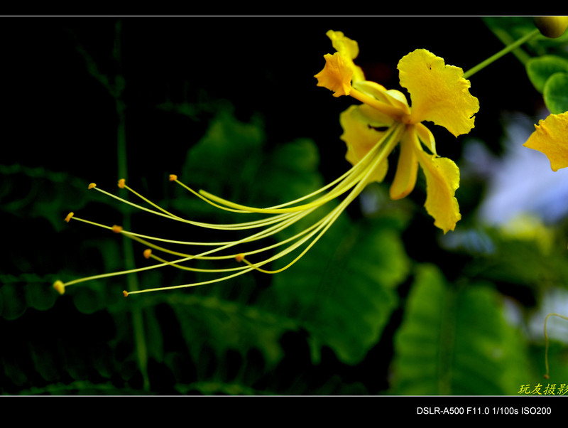 a7997250_s.jpg