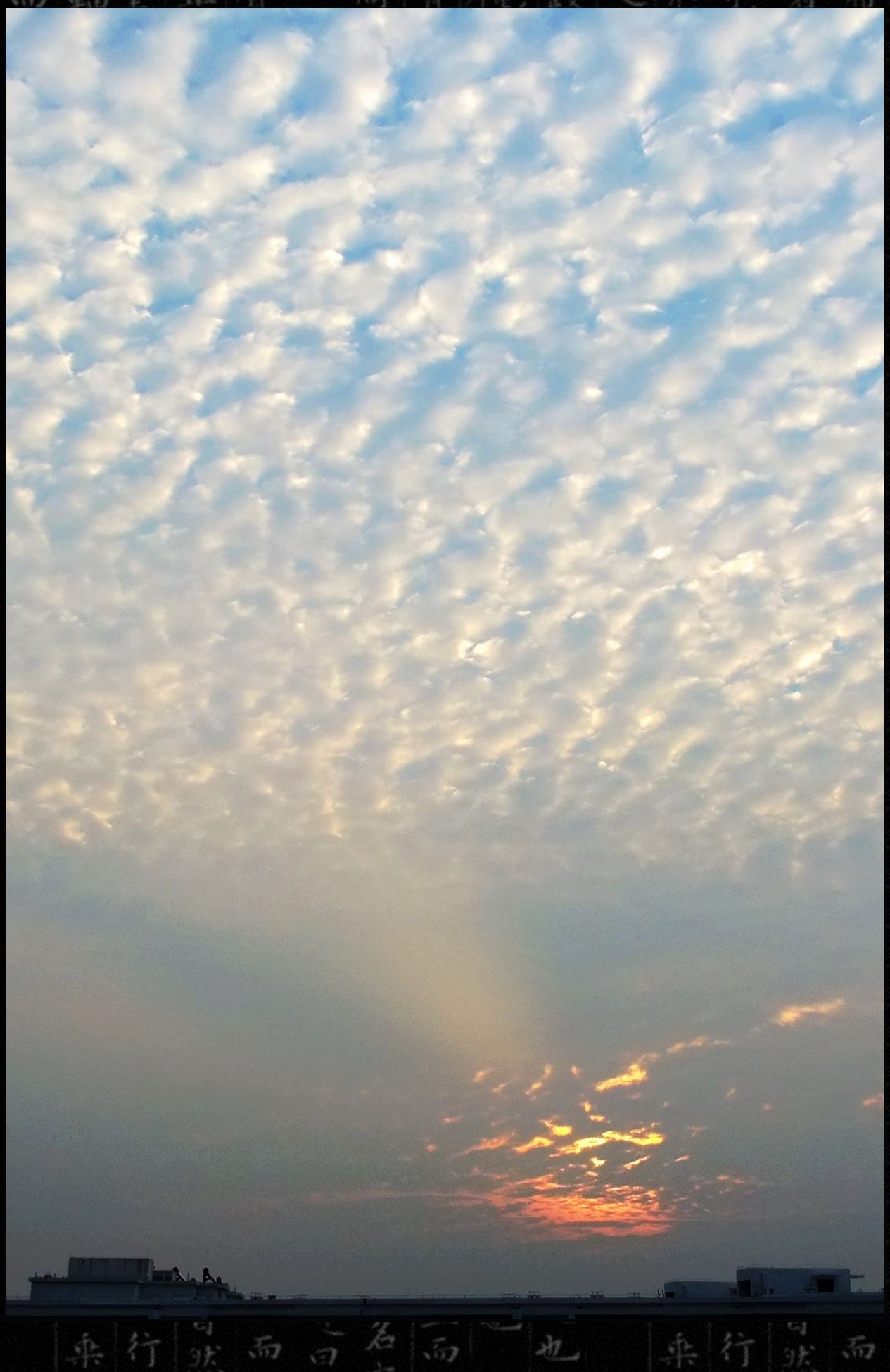 DSCF8808.jpg