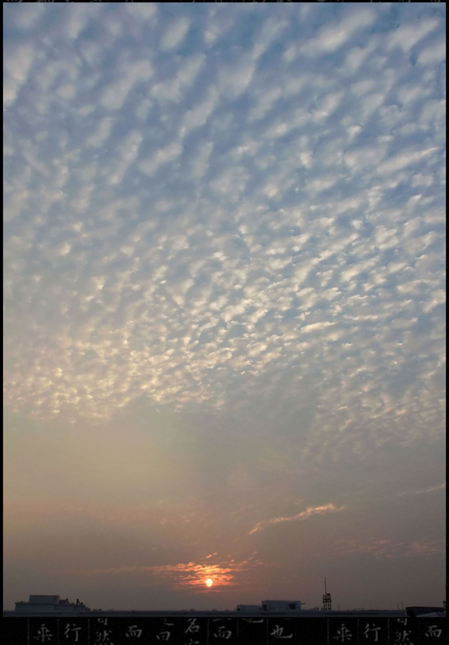 DSCF8796.jpg