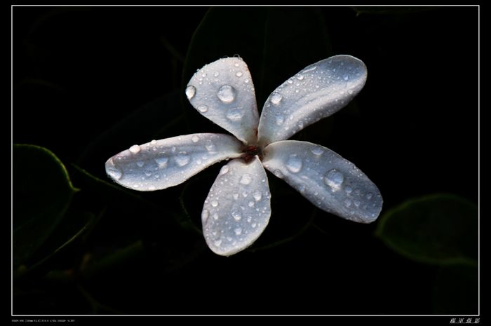 DSC_2930.jpg