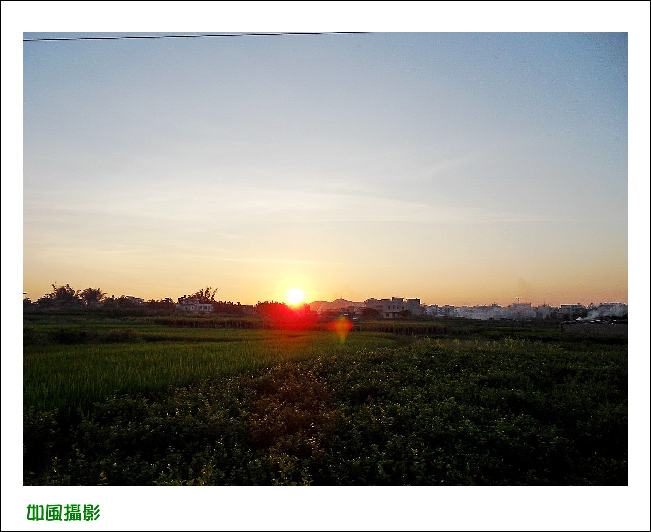 SDC17354_conew1.jpg