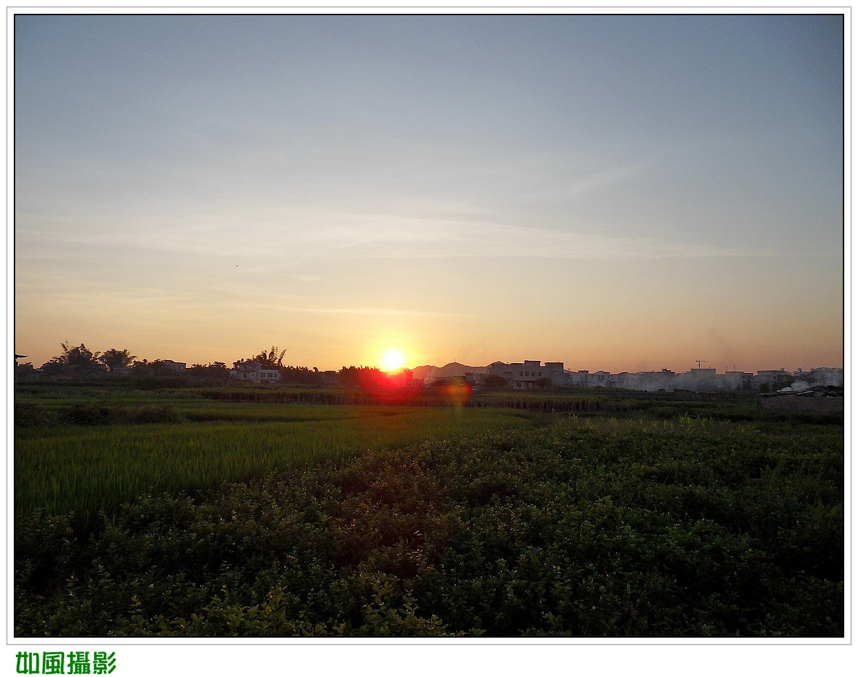 SDC17355_conew1.jpg