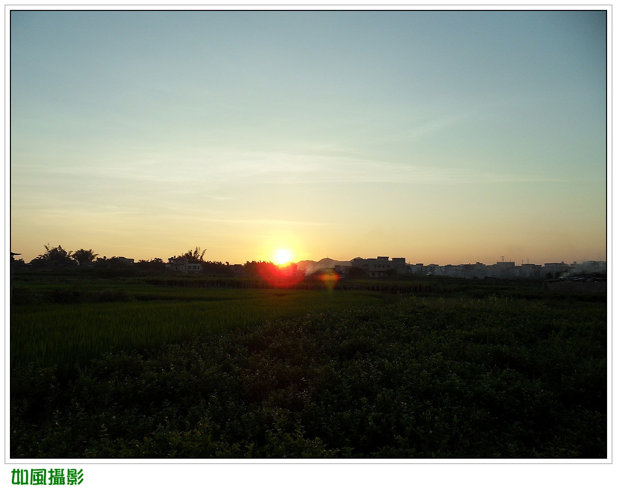 SDC17357_conew1.jpg