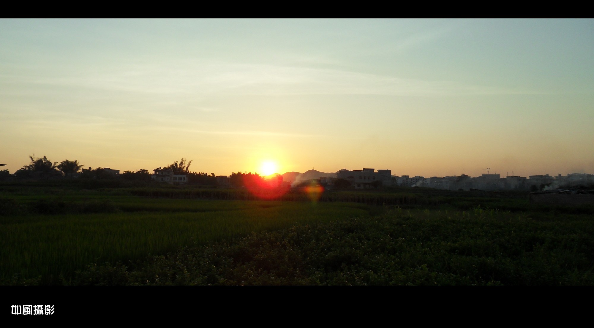 SDC17358_conew1.jpg