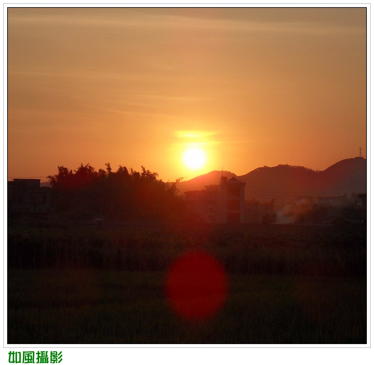 SDC17362_conew1.jpg