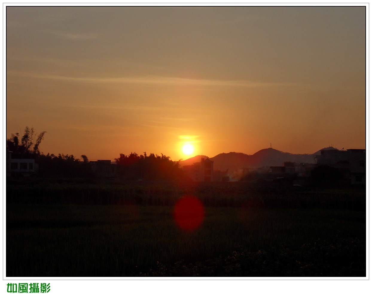 SDC17363_conew1.jpg