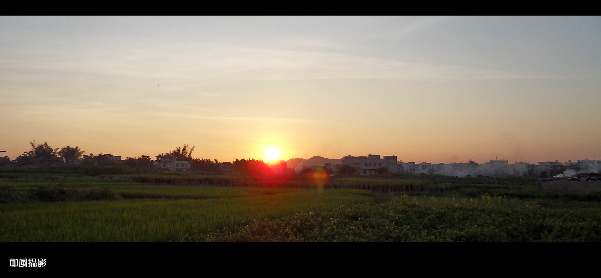 SDC173555_conew1.jpg