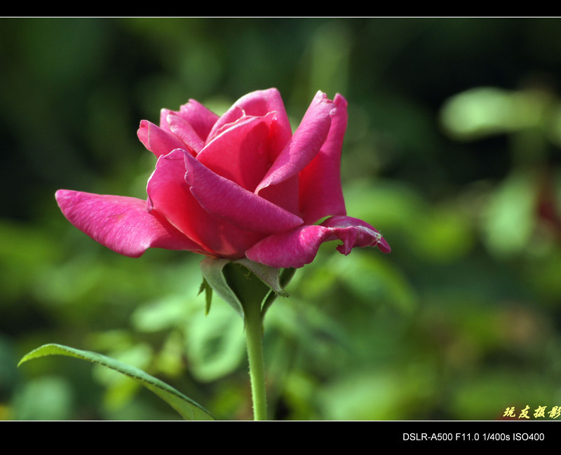 a8017681_s.jpg