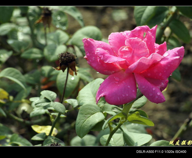 a8017683_s.jpg