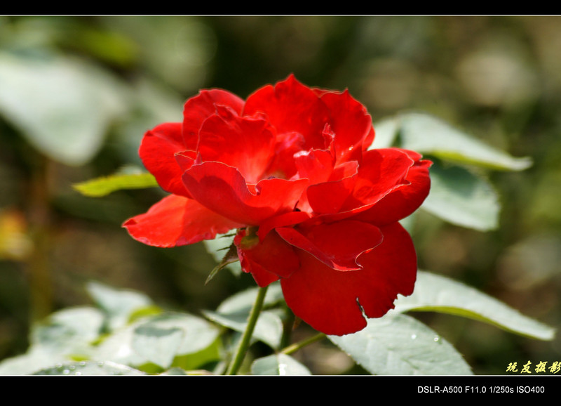 a8017684_s.jpg