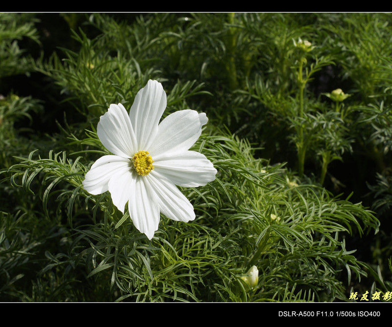a8017685_s.jpg