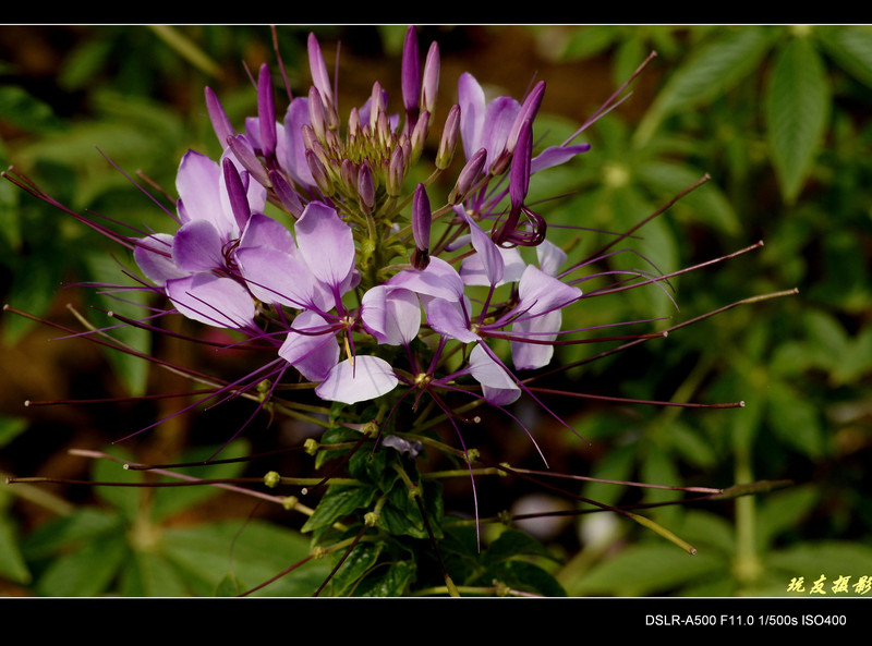 a8017869_s.jpg