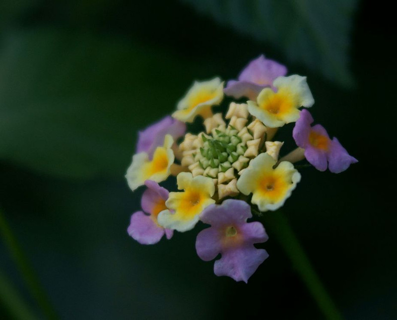 a8025920_s.jpg