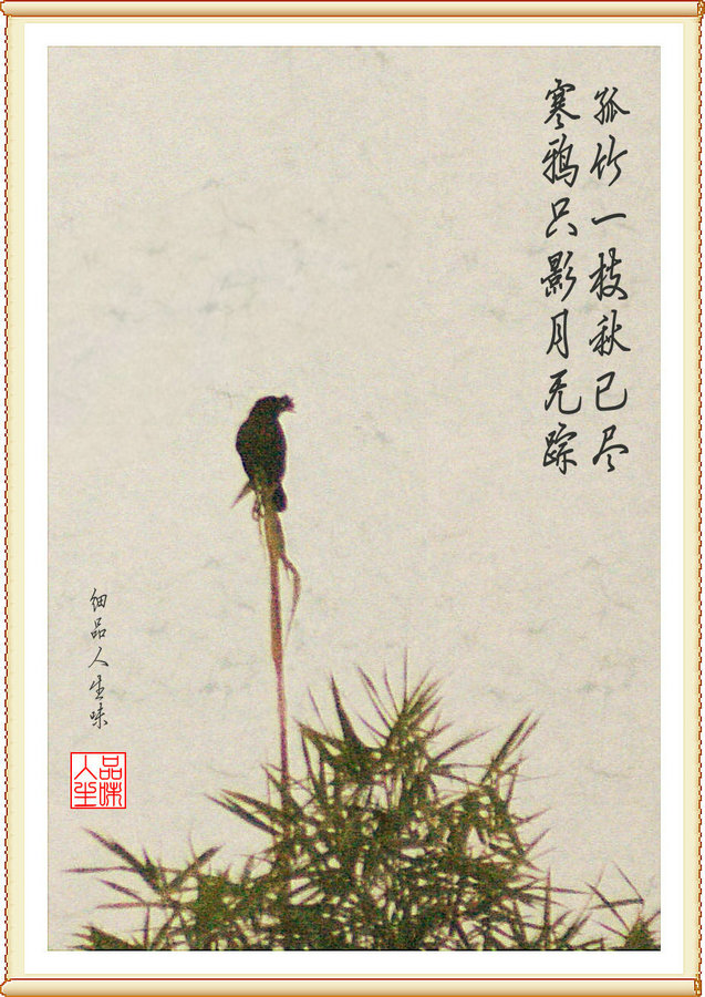 DSC04205_副本.JPG